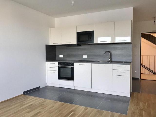 Zu Vermieten 2 Schlafzimmer Wohnung Wien AUT DS101382272