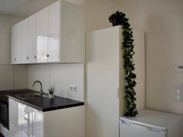 Zu Vermieten 2 Schlafzimmer Wohnung Wien AUT DS98335221