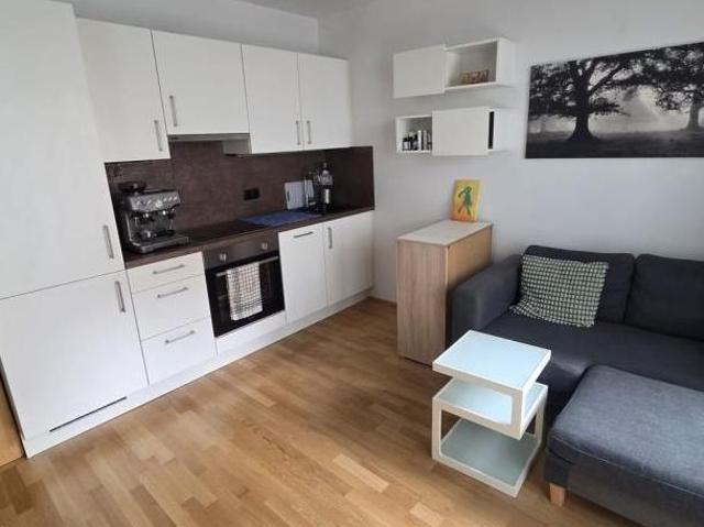 Zu Vermieten 2 Schlafzimmer Wohnung Wien Wien DS104537545