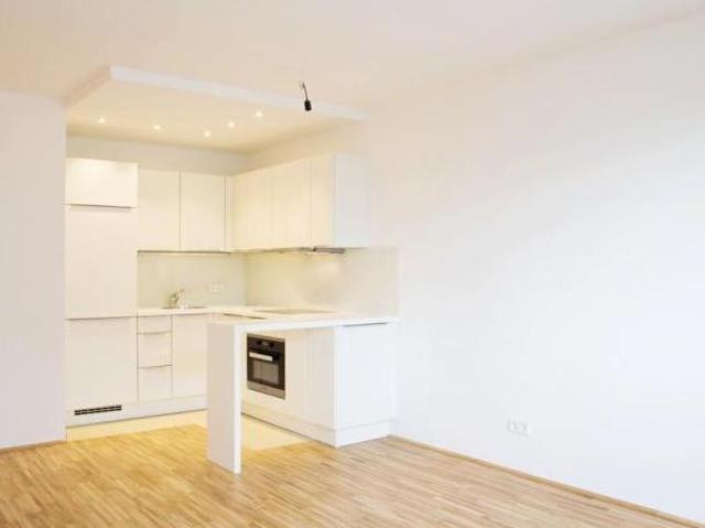 Zu Vermieten 2 Schlafzimmer Wohnung Wien Wien DS104108659