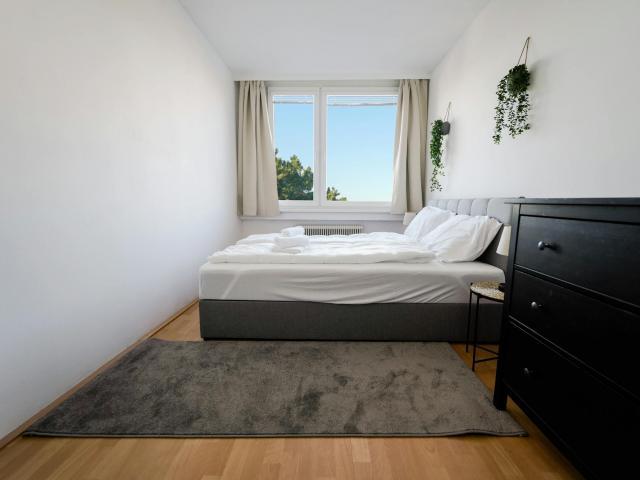 Zu Vermieten 2 Schlafzimmer Wohnung Wiener Neustadt Wiener Neustadt DLS72744607