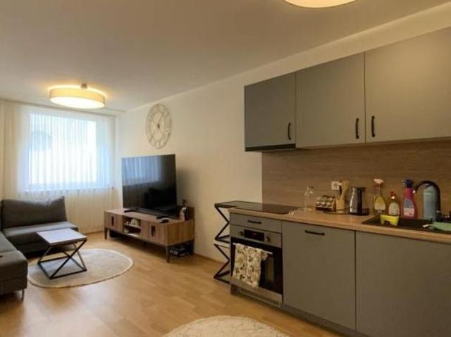 Zu Vermieten 2 Schlafzimmer Wohnung Burgenland Burgenland DS103696906