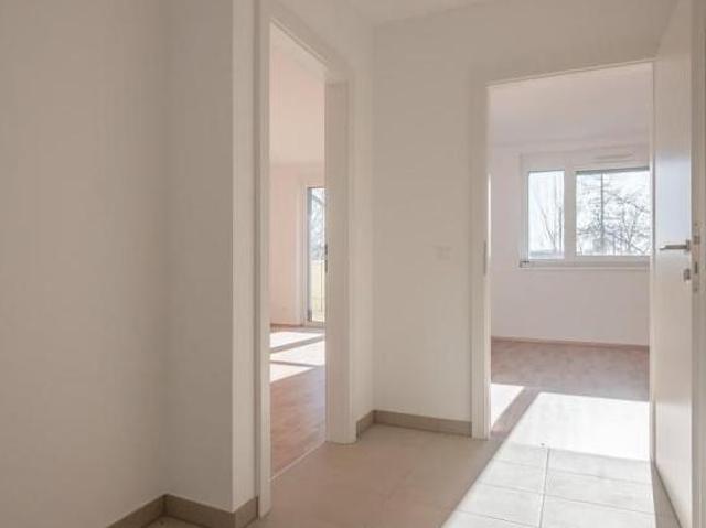 Zu Vermieten 2 Schlafzimmer Wohnung Burgenland Burgenland DS105055301