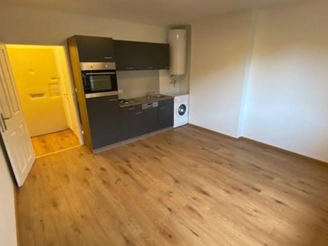 Zu Vermieten 2 Schlafzimmer Wohnung Grödig AUT DS104403276