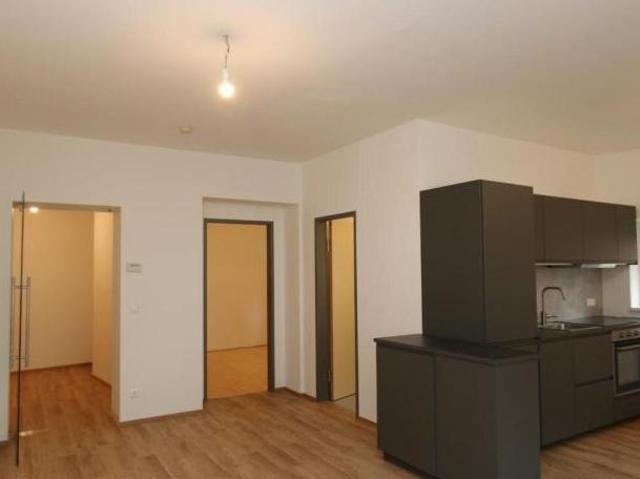 Zu Vermieten 2 Schlafzimmer Wohnung Kärnten Kärnten DS103843494