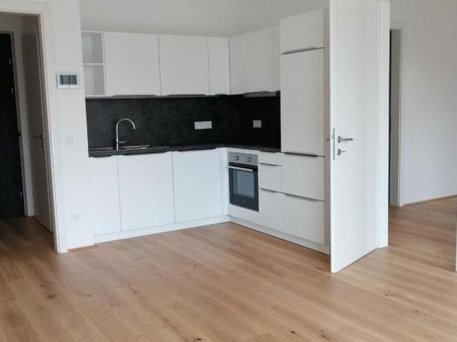 Zu Vermieten 2 Schlafzimmer Wohnung Kärnten Kärnten DS103882060