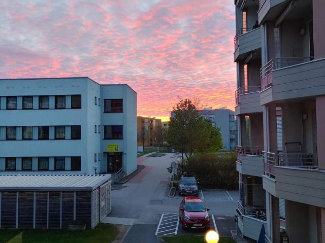 Zu Vermieten 2 Schlafzimmer Wohnung Leonding AUT DLS103962845