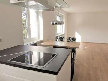 Zu Vermieten 2 Schlafzimmer Wohnung Niederösterreich Niederösterreich DLS102818681