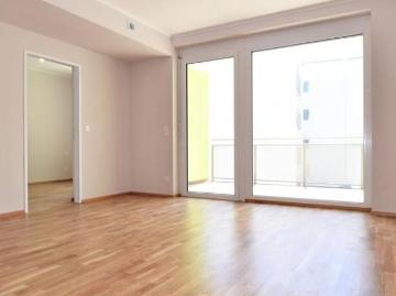 Zu Vermieten 2 Schlafzimmer Wohnung Niederösterreich Niederösterreich DS102918639