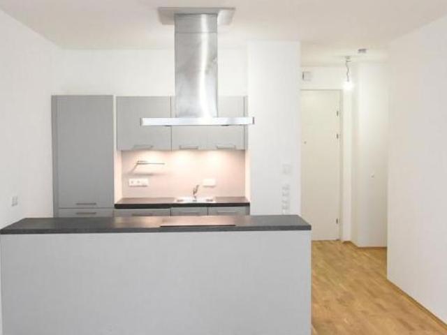 Zu Vermieten 2 Schlafzimmer Wohnung Niederösterreich Niederösterreich DS103414176