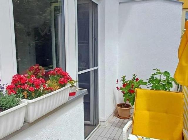 Zu Vermieten 2 Schlafzimmer Wohnung Niederösterreich Niederösterreich DS103426898