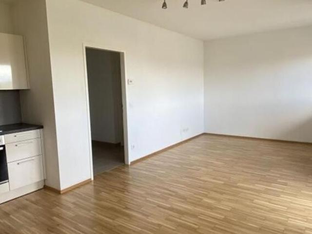 Zu Vermieten 2 Schlafzimmer Wohnung Niederösterreich Niederösterreich DS103741907