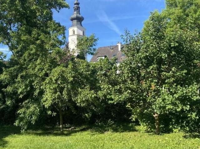 Zu Vermieten 2 Schlafzimmer Wohnung Niederösterreich Niederösterreich DS104879285