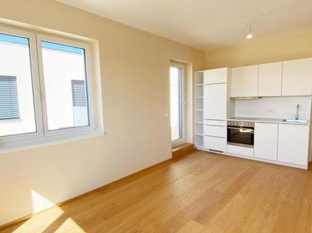 Zu Vermieten 2 Schlafzimmer Wohnung Niederösterreich Niederösterreich DS104890688