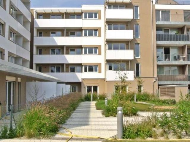 Zu Vermieten 2 Schlafzimmer Wohnung Niederösterreich Niederösterreich DS104367235