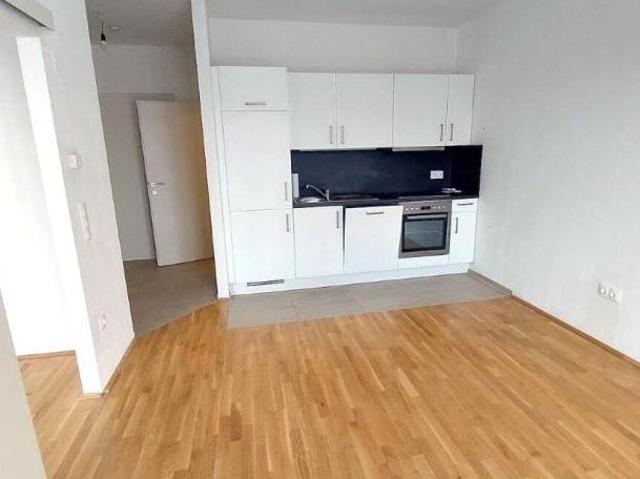 Zu Vermieten 2 Schlafzimmer Wohnung Niederösterreich Niederösterreich DS105862571