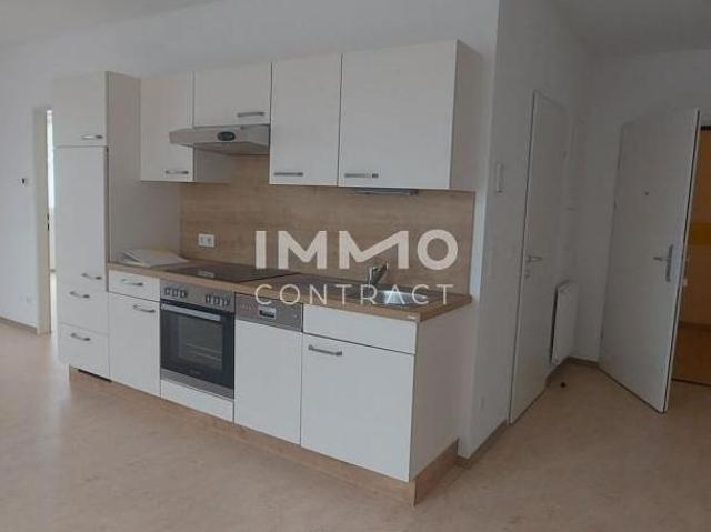 Zu Vermieten 2 Schlafzimmer Wohnung Niederösterreich Niederösterreich DS105030277