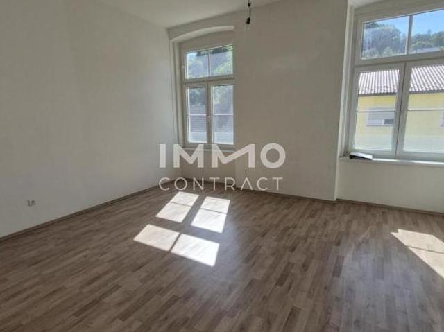Zu Vermieten 2 Schlafzimmer Wohnung Niederösterreich Niederösterreich DS105032321
