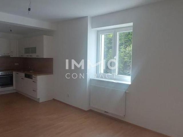 Zu Vermieten 2 Schlafzimmer Wohnung Niederösterreich Niederösterreich DS105052017