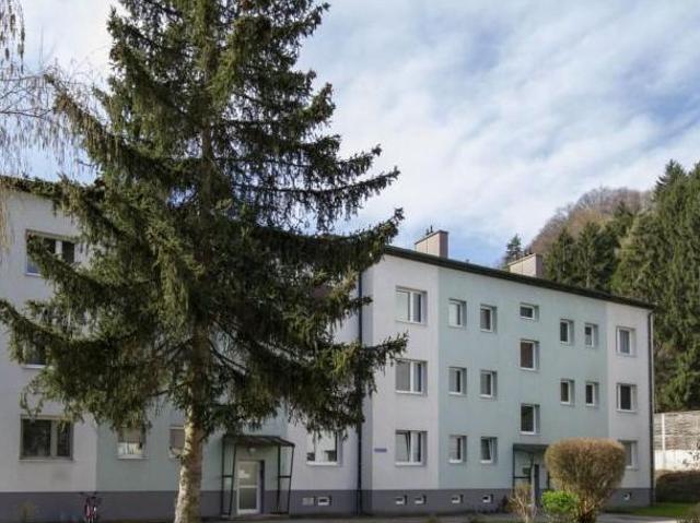 Zu Vermieten 2 Schlafzimmer Wohnung Niederösterreich Niederösterreich DS105252051