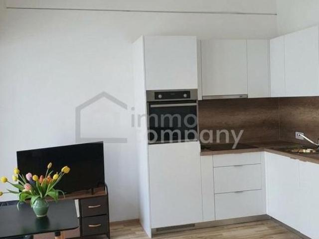 Zu Vermieten 2 Schlafzimmer Wohnung Niederösterreich Niederösterreich DS105338961