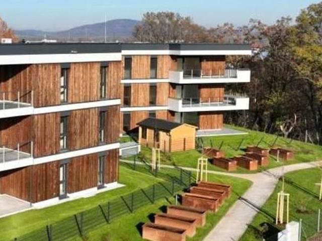 Zu Vermieten 2 Schlafzimmer Wohnung Oberösterreich Oberösterreich DS103696634