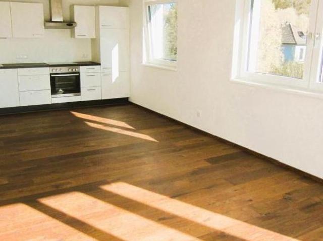 Zu Vermieten 2 Schlafzimmer Wohnung Oberösterreich Oberösterreich DS103882085