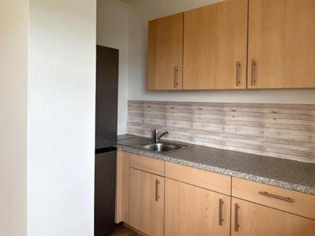 Zu Vermieten 2 Schlafzimmer Wohnung Oberösterreich Oberösterreich DS103924516