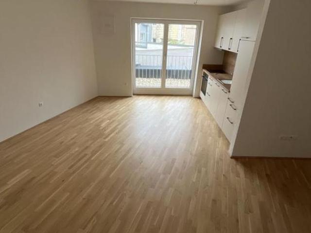 Zu Vermieten 2 Schlafzimmer Wohnung Oberösterreich Oberösterreich DS104960189