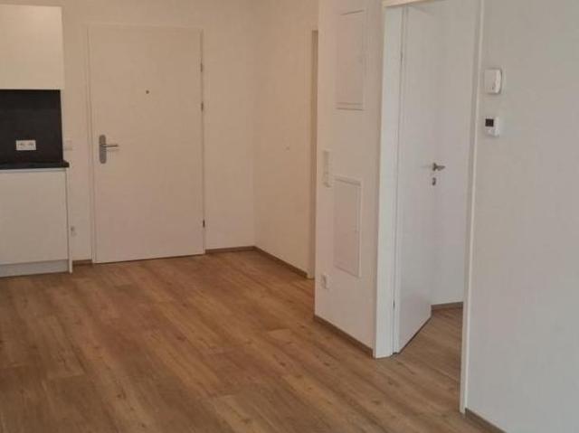 Zu Vermieten 2 Schlafzimmer Wohnung Oberösterreich Oberösterreich DS105052539