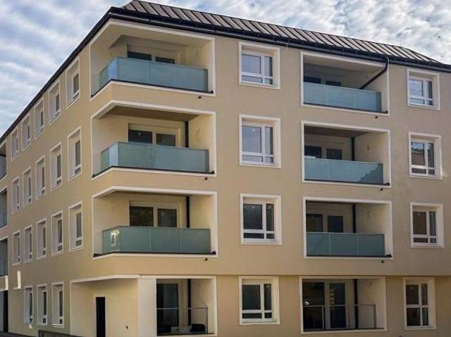 Zu Vermieten 2 Schlafzimmer Wohnung Oberösterreich Oberösterreich DS105053359