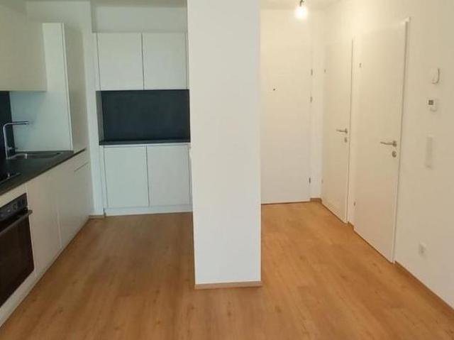 Zu Vermieten 2 Schlafzimmer Wohnung Oberösterreich Oberösterreich DS105054197