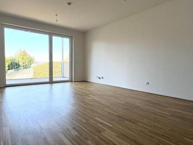 Zu Vermieten 2 Schlafzimmer Wohnung Oberösterreich Oberösterreich DS105056788