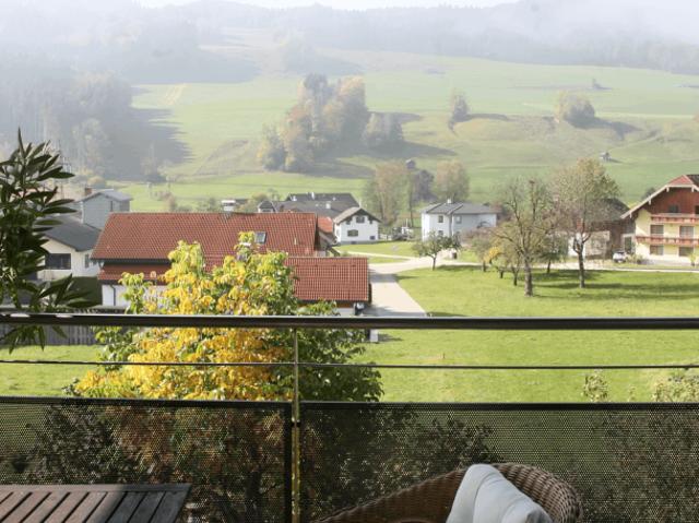 Zu Vermieten 2 Schlafzimmer Wohnung Oberösterreich Oberösterreich DS105075336