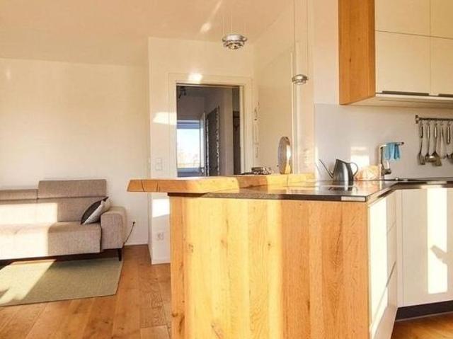 Zu Vermieten 2 Schlafzimmer Wohnung Oberösterreich Oberösterreich DS105075505