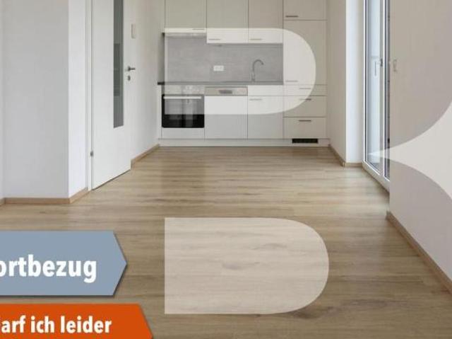 Zu Vermieten 2 Schlafzimmer Wohnung Oberösterreich Oberösterreich DS105010704