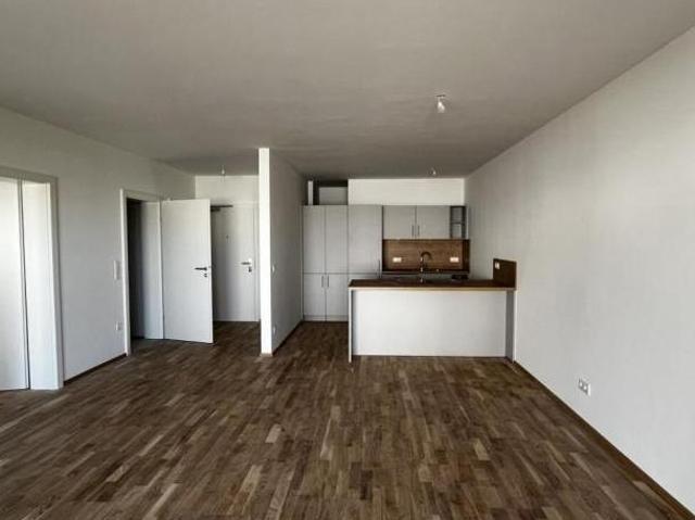 Zu Vermieten 2 Schlafzimmer Wohnung Oberösterreich Oberösterreich DS105011042