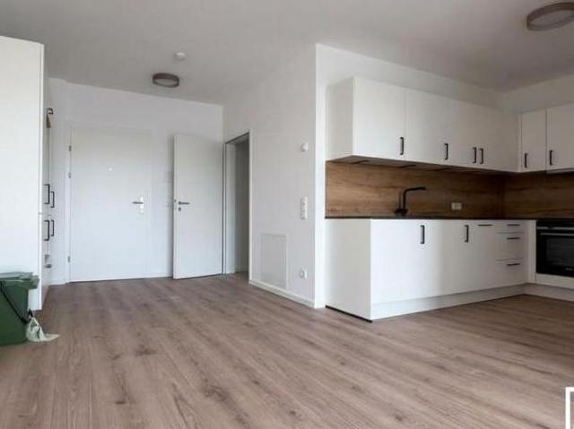 Zu Vermieten 2 Schlafzimmer Wohnung Oberösterreich Oberösterreich DS105037743