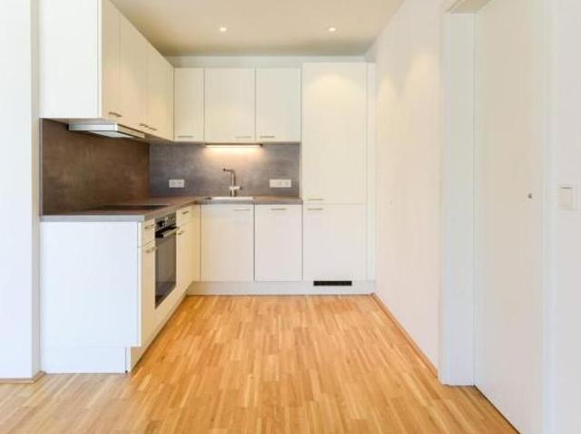 Zu Vermieten 2 Schlafzimmer Wohnung Oberösterreich Oberösterreich DS105152391