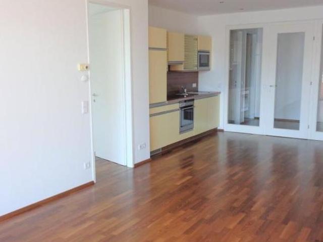 Zu Vermieten 2 Schlafzimmer Wohnung Oberösterreich Oberösterreich DS105284241