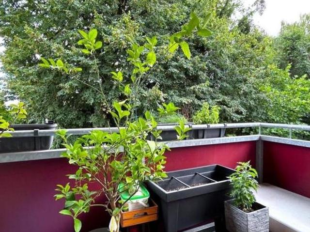 Zu Vermieten 2 Schlafzimmer Wohnung Oberösterreich Oberösterreich DS105361978