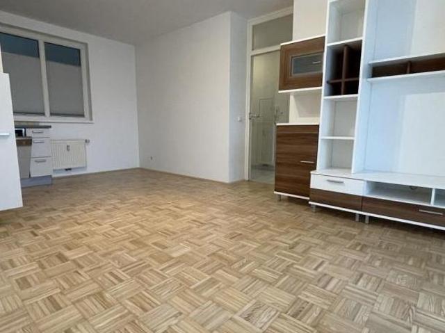Zu Vermieten 2 Schlafzimmer Wohnung Oberösterreich Oberösterreich DS105655613