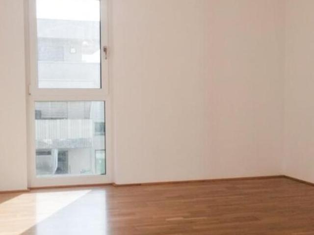 Zu Vermieten 2 Schlafzimmer Wohnung Oberösterreich Oberösterreich DS105760194