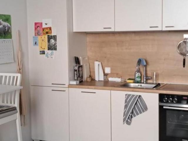Zu Vermieten 2 Schlafzimmer Wohnung Oberösterreich Oberösterreich DS105784641