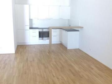 Zu Vermieten 2 Schlafzimmer Wohnung Salzburg Salzburg DS103064736