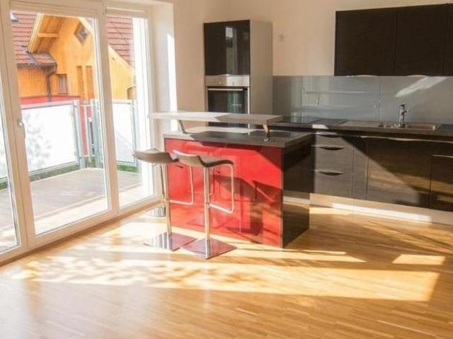 Zu Vermieten 2 Schlafzimmer Wohnung Salzburg Salzburg DS103924452