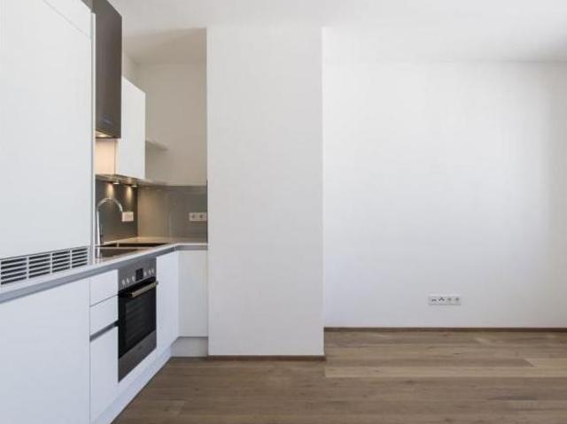 Zu Vermieten 2 Schlafzimmer Wohnung Salzburg Salzburg DS104683903