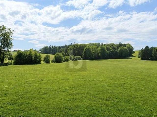 Zu Vermieten 2 Schlafzimmer Wohnung Salzburg Salzburg DS104755493