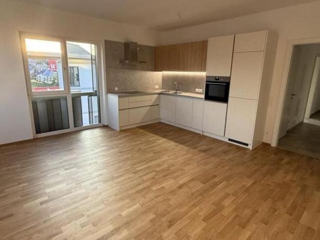 Zu Vermieten 2 Schlafzimmer Wohnung Salzburg Salzburg DS104755411