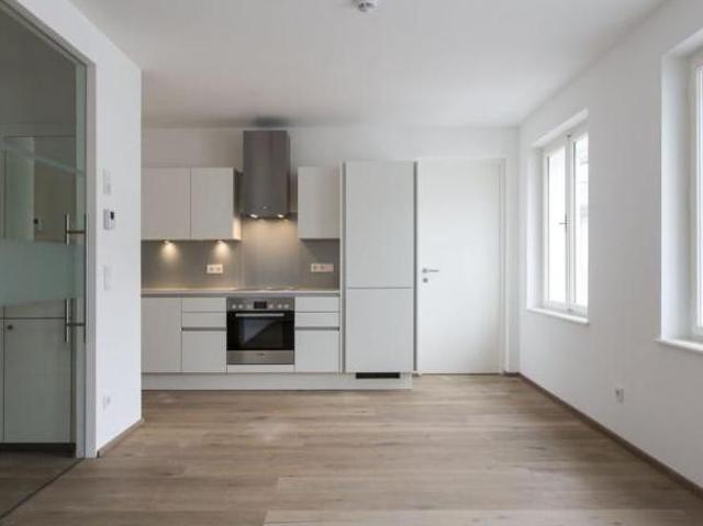 Zu Vermieten 2 Schlafzimmer Wohnung Salzburg Salzburg DS104890733